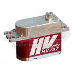 MKS HV737 High Voltage Servo