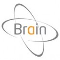 BRAIN